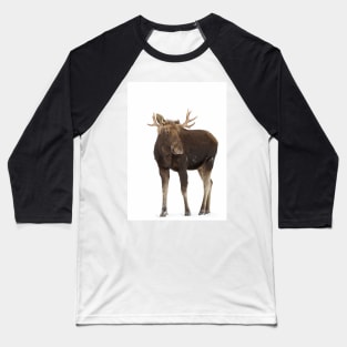 Moose in winter Baseball T-Shirt